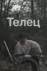  Телец 